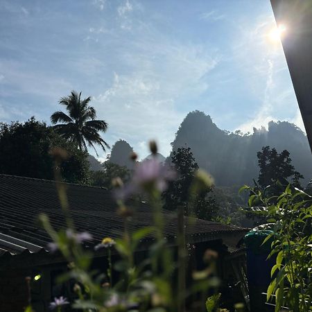 Khao Sok Backpacker Hostel Khao Sok National Park Eksteriør billede